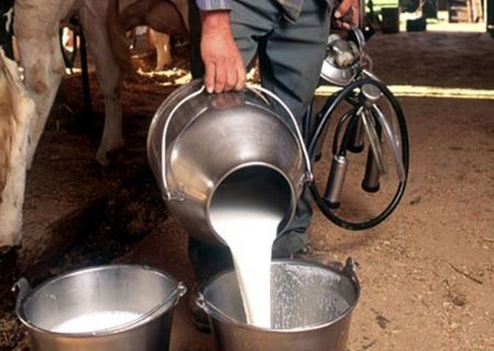 هشدار در مورد مصرف شیرهای غیر پاستوریزه
