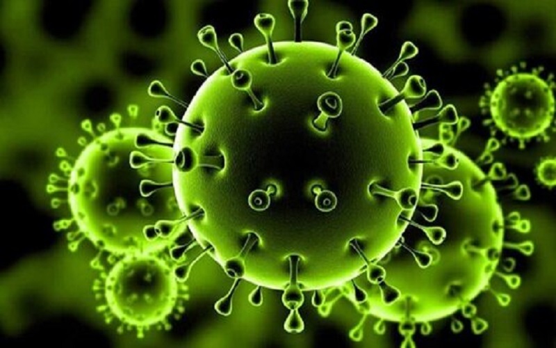 کشف جهش‌ ژنتیکی ویروس کرونا در ایران